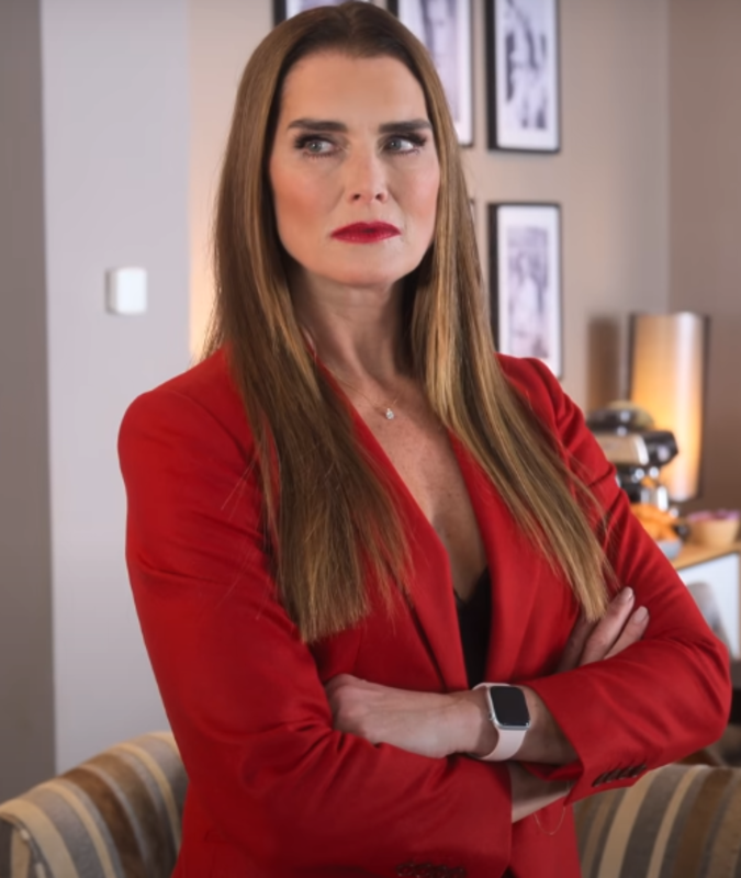 A Castle for Christmas Brooke Shields Blazer